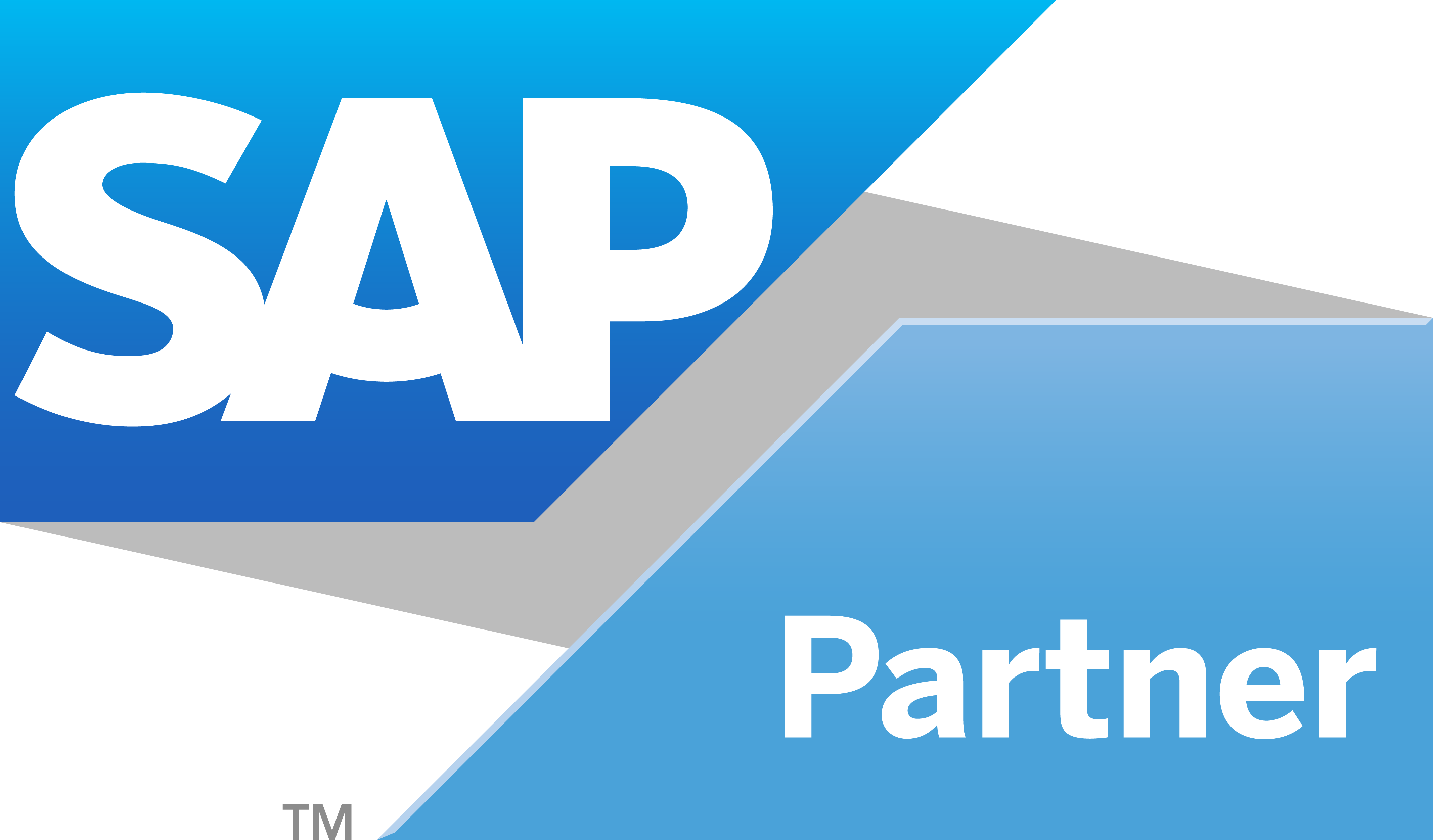 SAP Business One Logo